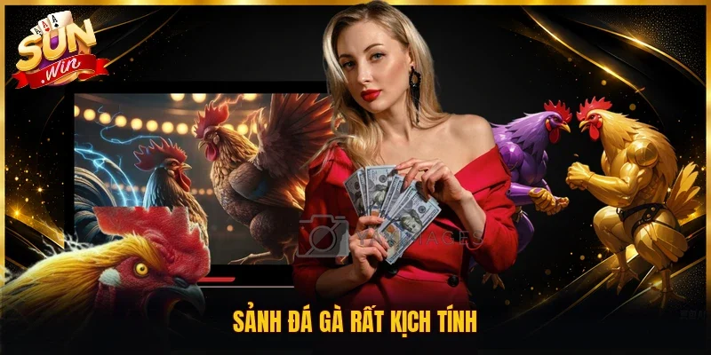 Sunwin presa.tv ⭐️ Tải Sunwin iOS/APK Cổng Game Bài Mới Nhất 2026 23 Sunwin Sảnh đá gà rất kịch tính